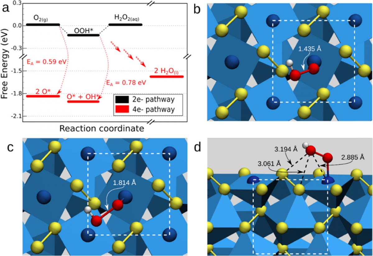 Computational model of oxygen reduction on a cobalt disulfide surface